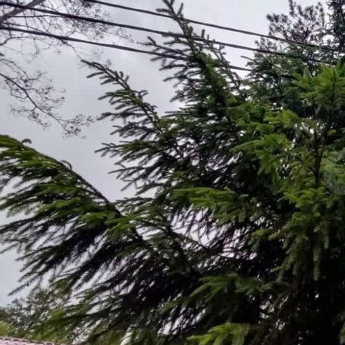 Коттедж/дом Новожилово массив, Патриот СНТ, 5