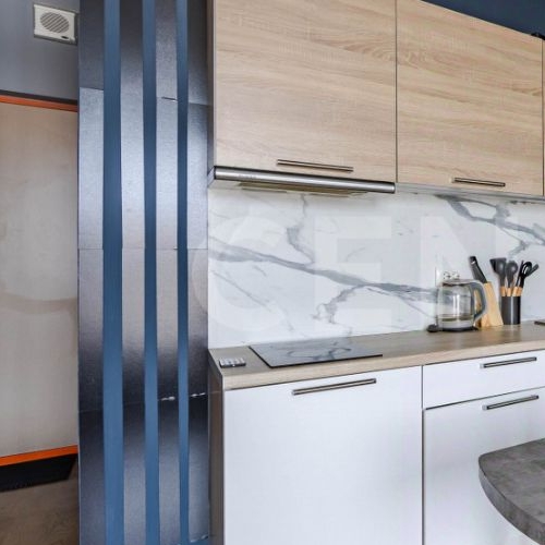 Студия пос. Парголово, проезд Толубеевский, 8к2