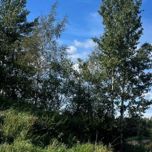 Земельный участок Всеволожск, улица Рубцова, 63