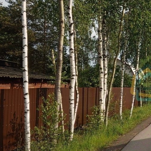 Земельный участок Здоровье-3 СНТ, 394