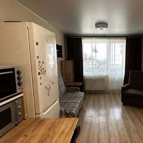 Студия д. Низино, улица Верхняя, 1к1