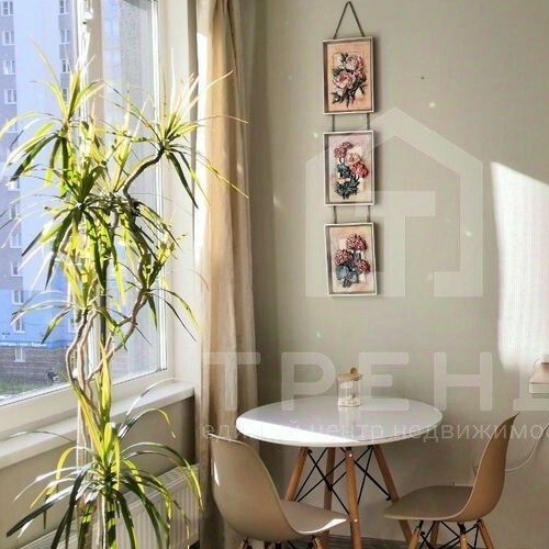 Студия Витебский проспект, 99к1