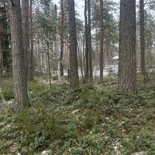 Земельный участок Солнечное пос., Петровская ул.