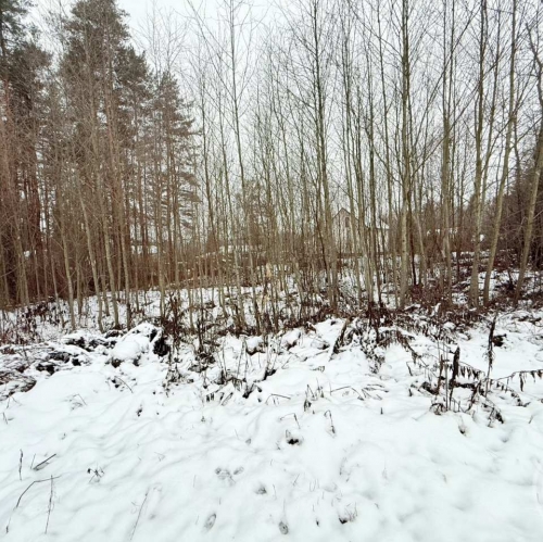 Земельный участок Рощино пос., Верхнее Рощино ул.