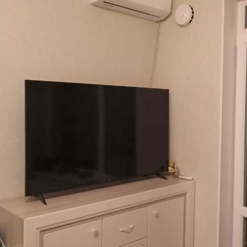 Студия пос. Парголово, улица Брюлловская, 5