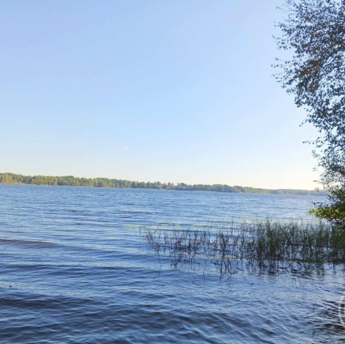 Земельный участок Правдино пос.