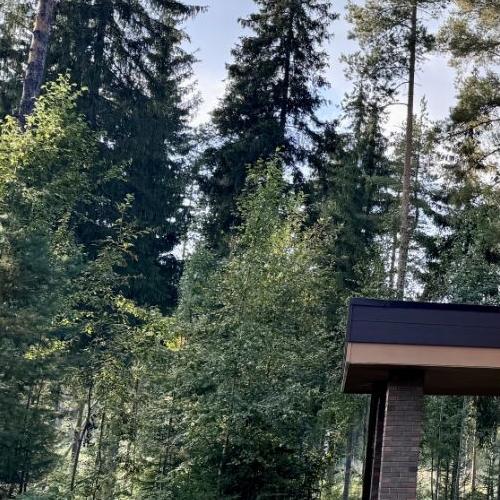 Коттедж/дом пос. Ленинское, Спутник СНТ