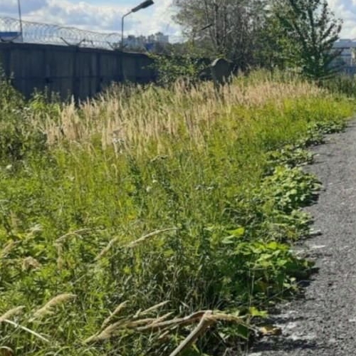 Земельный участок Октябрьская набережная, 108к1Д