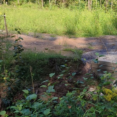 Земельный участок пос. Мичуринское, улица Заозерная