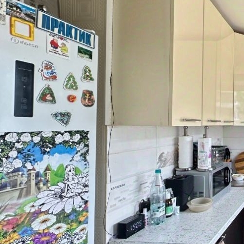 3-комн квартира улица Васи Алексеева, 21