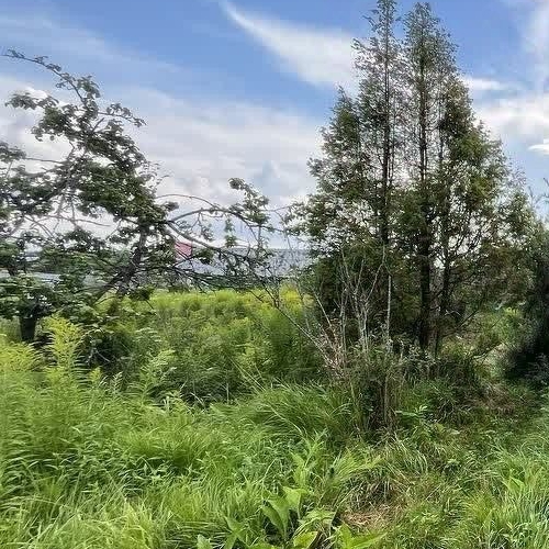 Коттедж/дом Автомобилист СНТ, улица 21-я, 41