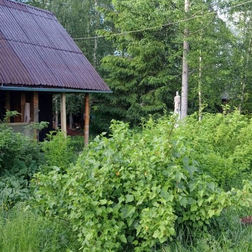 Коттедж/дом Корела СНТ, улица Озерная, 96