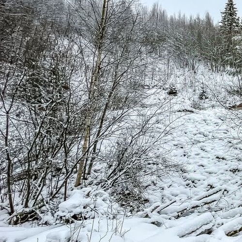 Земельный участок д. Юкки, улица Спортивная