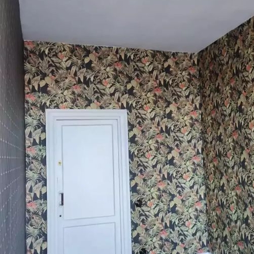 Комната Витебская улица, 27