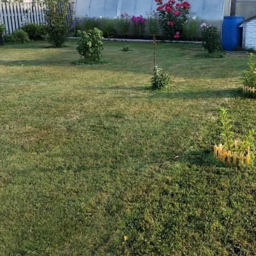 Коттедж/дом Брусничка СНТ, улица 5-я, 503