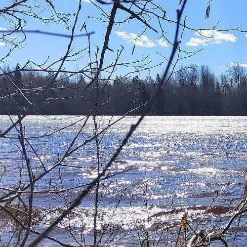 Земельный участок д. Болотово, 13