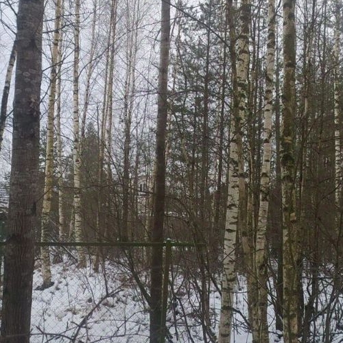 Земельный участок Алюмино СНТ, тупик Непокоренных