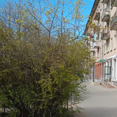 3-комн квартира проспект Металлистов, 59