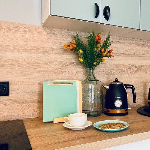 Студия пос. Парголово, проезд Толубеевский, 8к2