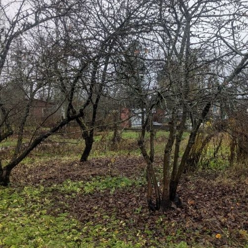 Земельный участок Новая Ропша садоводческий массив, улица 6-я Речная, 38