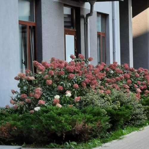 1-комн квартира Корпусная улица, 3