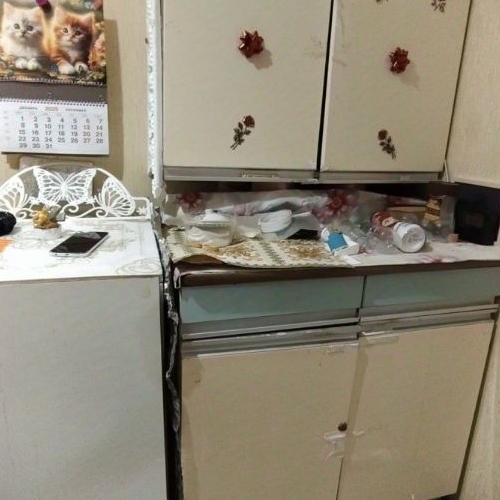 Студия Петергоф, улица Парковая, 14к1