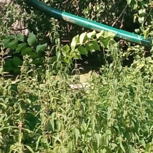 Коттедж/дом д. Милодеж, улица Центральная, 47