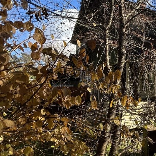 Коттедж/дом д. Межно, улица Заречная, 6