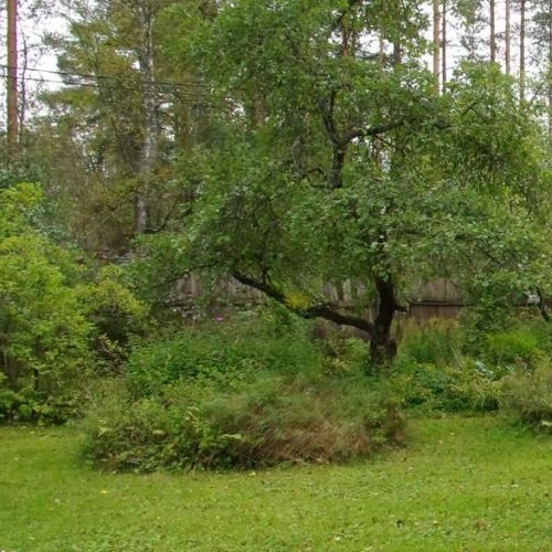 Коттедж/дом Сестрорецк