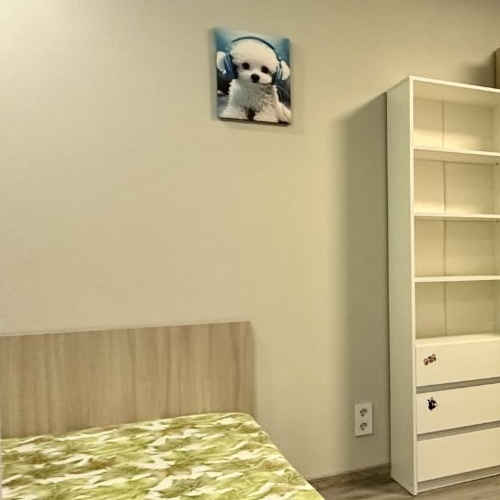 1-комн квартира Витебский проспект, 99к1