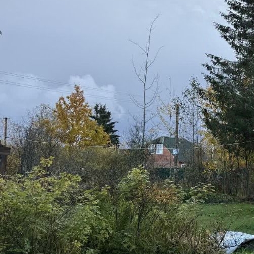 Коттедж/дом Посадников остров садоводческий массив, Сигнал СНТ, улица Соловьиная