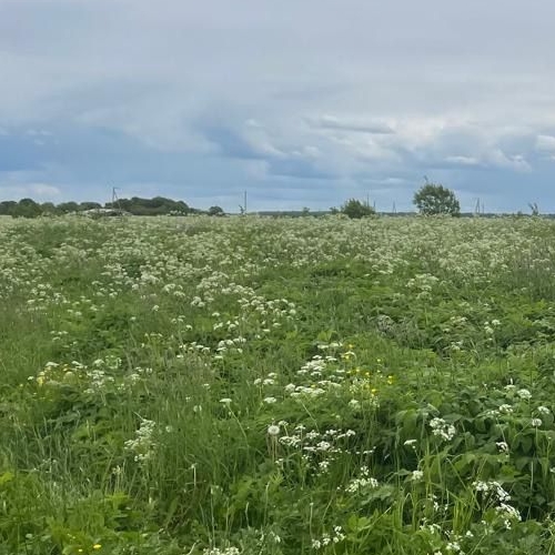 Земельный участок Копорье ЗАО