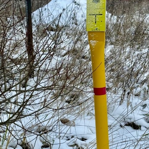 Земельный участок с. Рождествено, улица Александра Копылова, 40