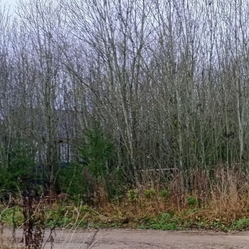 Земельный участок д. Калитино, улица Новодеревенская