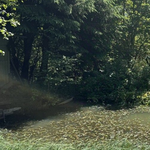 Коттедж/дом Дзержинец-2 СНТ