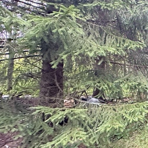 Коттедж/дом Надежда СНТ, 65