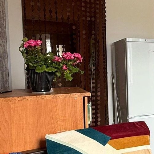 1-комн квартира Никольское, Советский проспект, 142