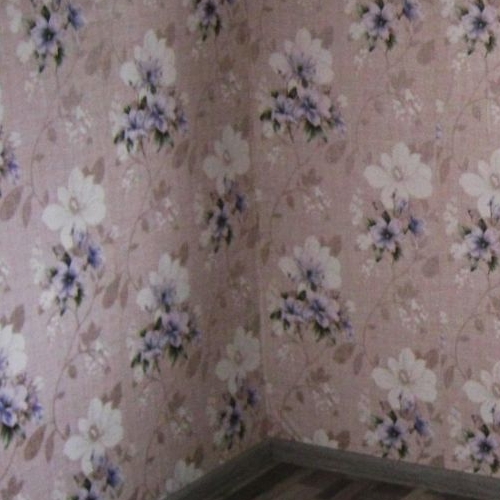 Коттедж/дом Кайвакса садоводческий массив, 19-я линия