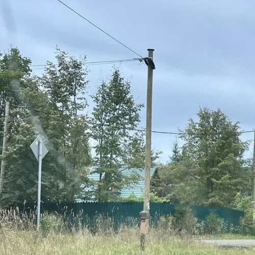 Коттедж/дом Будогощь пгт, улица Октябрьская, 63