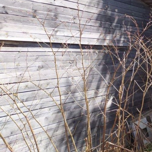 Коттедж/дом Новожилово массив, Орехово СНТ