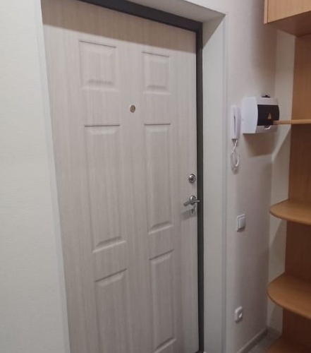 Студия пос. Шушары, проспект Старорусский, 5к1