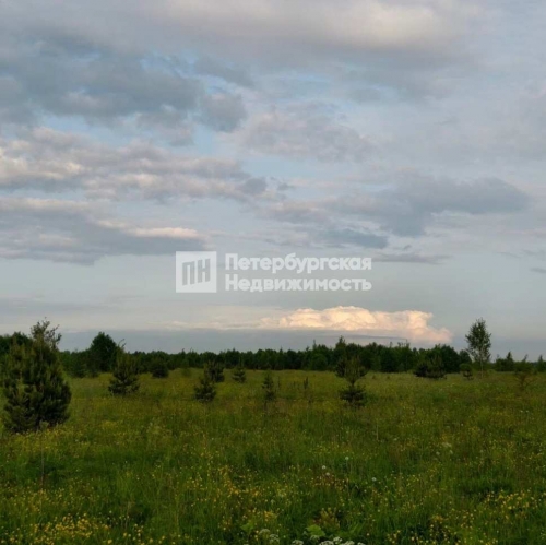 Земельный участок деревня Сологубовка, деревня Сологубовка, , д 83,  д. 83