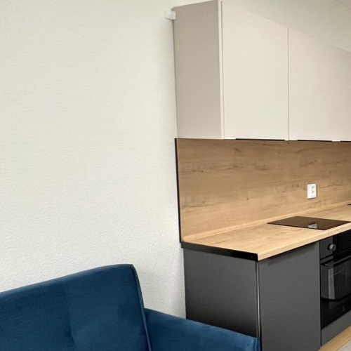 1-комн квартира пос. Бугры, улица Тихая, 7к3