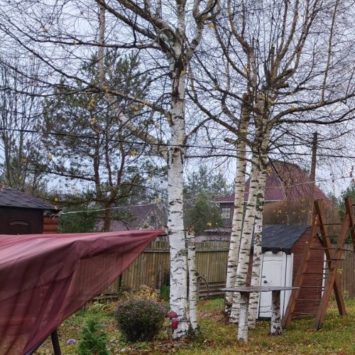 Коттедж/дом Лебяжье тер., проезд 4-й Дачный, 12