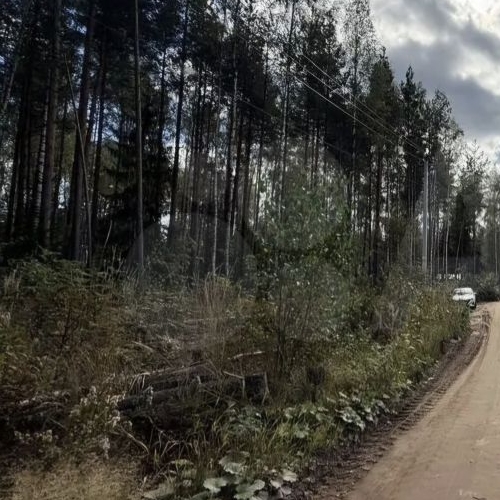 Земельный участок СОСН Раздолье тер., улица Барбарисовая