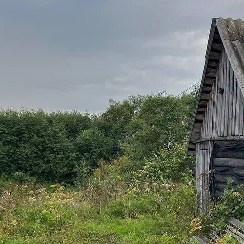 Коттедж/дом д. Витка, 36