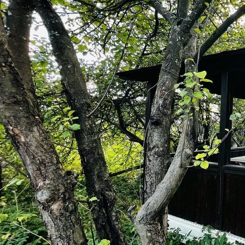 Коттедж/дом Мяглово-Карьер садоводческий массив, Керамика СНТ, 16-я линия,  д. 691