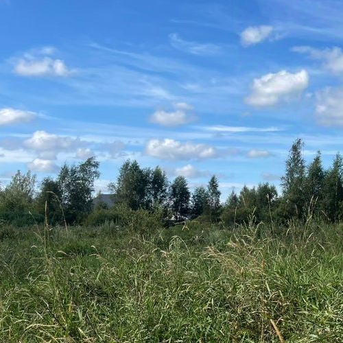 Земельный участок Всеволожск, улица Рубцова, 63