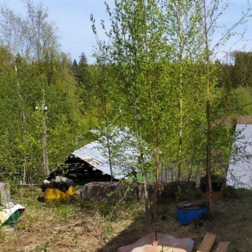 Коттедж/дом Новожилово массив, Орехово СНТ