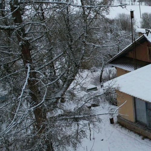 Коттедж/дом пос. Волошово, улица Школьная, 2